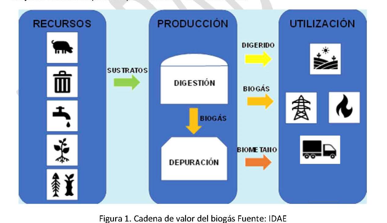 Biogas market - Biogas Roadmap - E&M Combustion - Quemadores ...